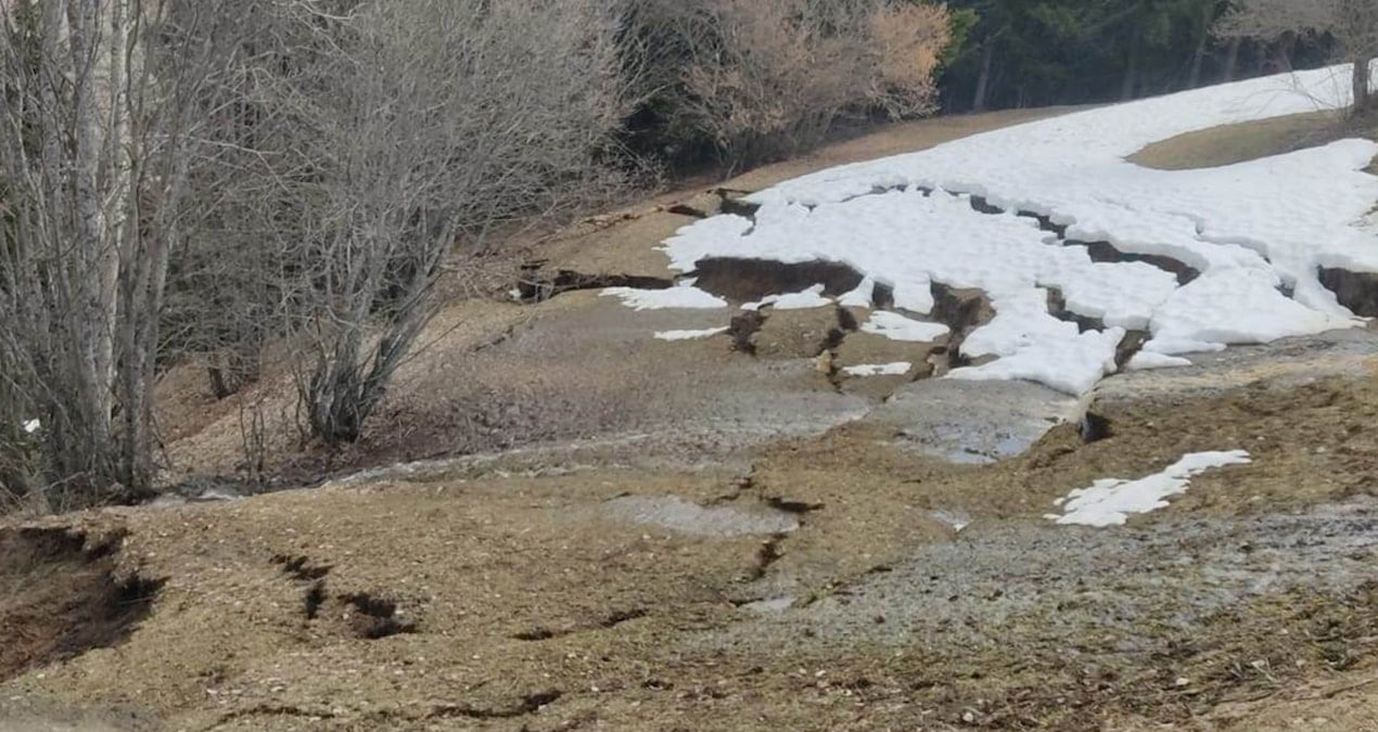 Artvin’de ormanda heyelan